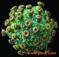 ���̲�����ģ��