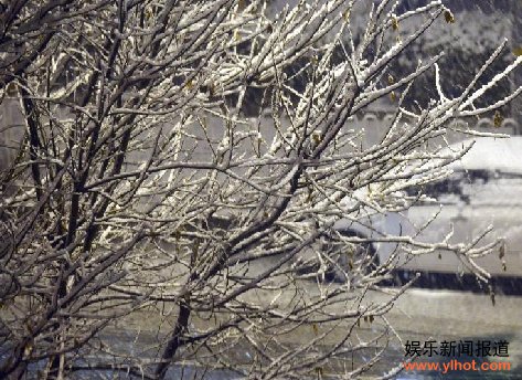 ��ش������� �������·�ѩ